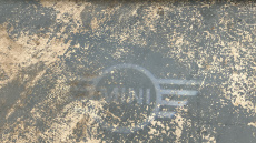 MINI Hatchback 1.5 Cooper Exclusive Premium Plus 5dr Auto Petrol Hatchback